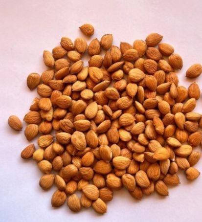 Apricot Kernels