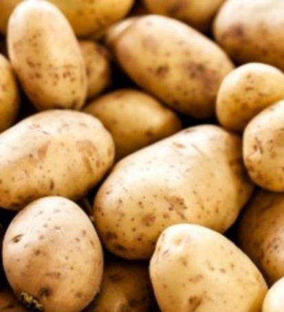 Potatoes